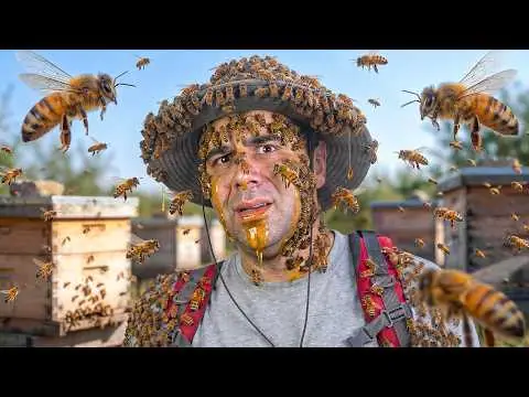 رجل العسل ليوم كامل، فيلم من قناة وارف كاتبي على يوتيوب